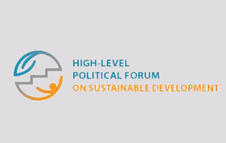 High-level Political Forum on Sustainable Development