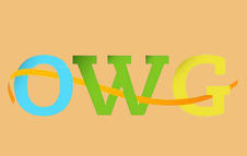 Open Working Group UN