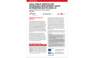 Analytics Note #05 Local Public Services and Sustainable Development