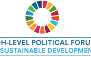 High-level Political Forum on Sustainable Development