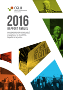 Rapport Annuel 2016 