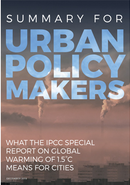 Summary for Urban Policy Makers