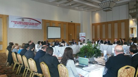 9th Steering committee of the Global Partnership on Effective Development Cooperation (GPEDC)