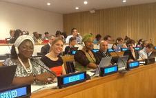 UCLG Champions in the Sixth Steering Committee of the GPEDC